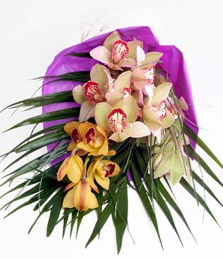  Ankara iek online iek siparii  1 adet dal orkide buket halinde sunulmakta