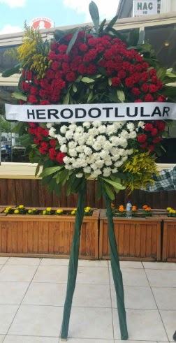Cenaze elengi cenazeye iek modeli  Ankara iek siparii sitesi 