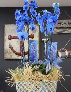 4 dall zel mavi orkide  Ankara ieki 14 ubat sevgililer gn iek 