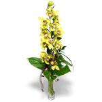  Ankara ieki ucuz ankaraya iek gnder  1 dal orkide iegi - cam vazo ierisinde -