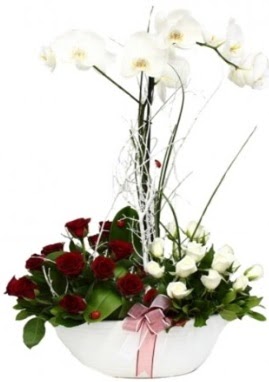 Tek dal beyaz orkide 8 beyaz 8 krmz gl  Ankara iek siparii sitesi 