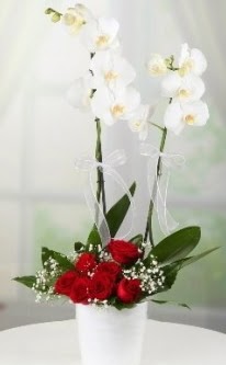 2 dall beyaz orkide 7 adet krmz gl  Ankara iek maazas , ieki adresleri 