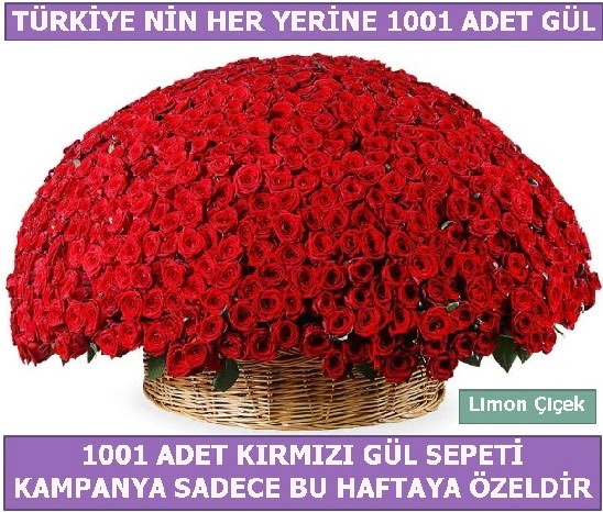 1001 Adet krmz gl Bu haftaya zel  Ankara iek sat 