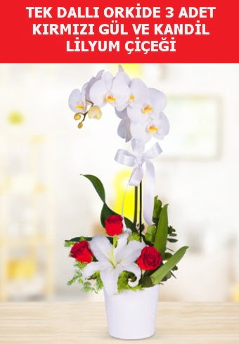 Tek dall orkide 3 gl ve kandil lilyum  Ankara ieki ucuz ankaraya iek gnder 